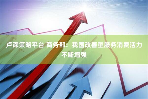 卢深策略平台 商务部：我国改善型服务消费活力不断增强