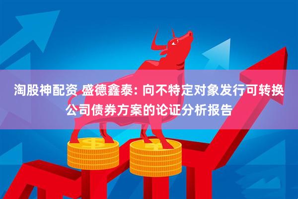 淘股神配资 盛德鑫泰: 向不特定对象发行可转换公司债券方案的论证分析报告