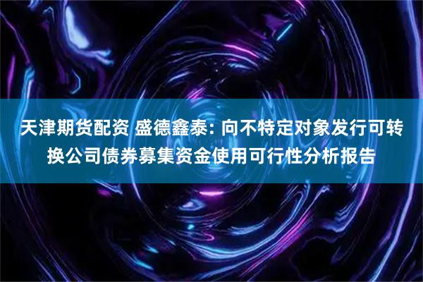 天津期货配资 盛德鑫泰: 向不特定对象发行可转换公司债券募集资金使用可行性分析报告