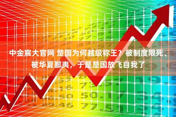 中金宸大官网 楚国为何越级称王？被制度限死、被华夏鄙夷，于是楚国放飞自我了