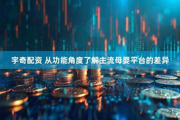 宇奇配资 从功能角度了解主流母婴平台的差异