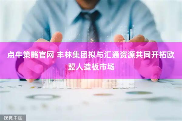 点牛策略官网 丰林集团拟与汇通资源共同开拓欧盟人造板市场